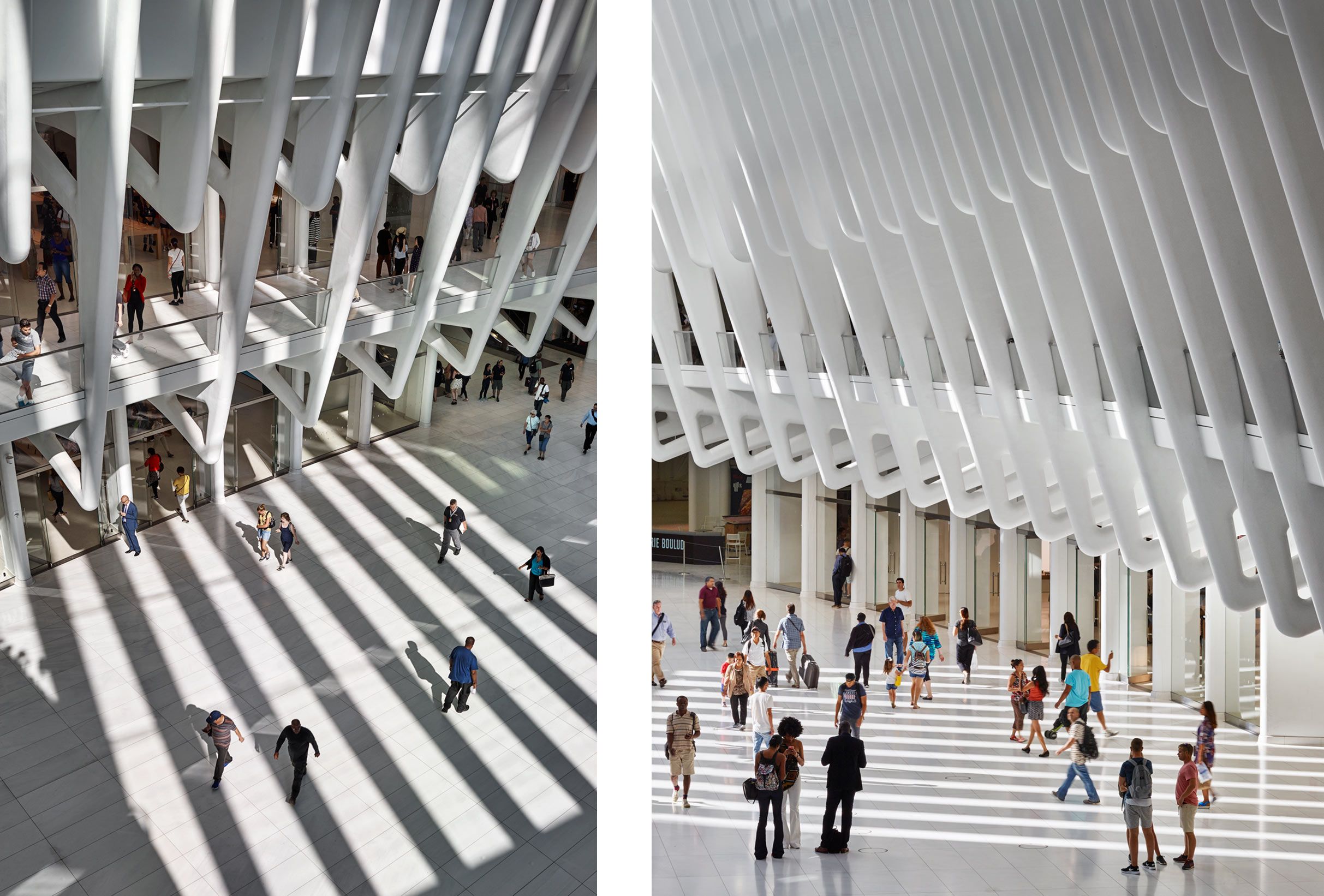 SANTIAGO CALATRAVA  .  WORLD TRADE CENTER TRANSPORTATION HUB  .  NEW YORK