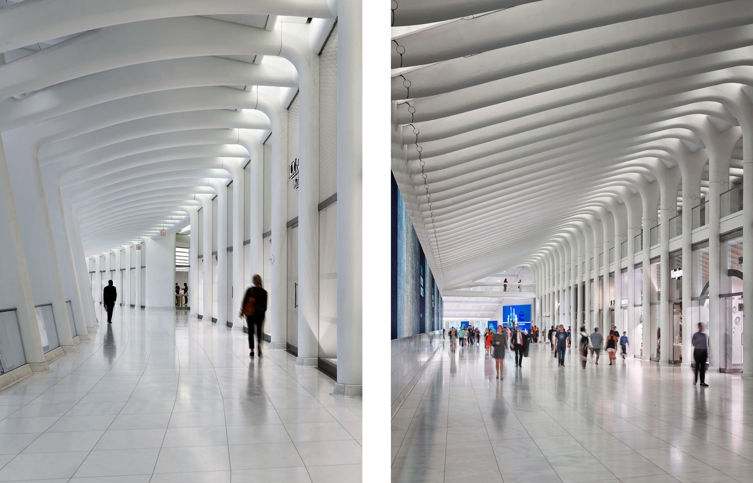 SANTIAGO CALATRAVA  .  WORLD TRADE CENTER TRANSPORTATION HUB  .  NEW YORK