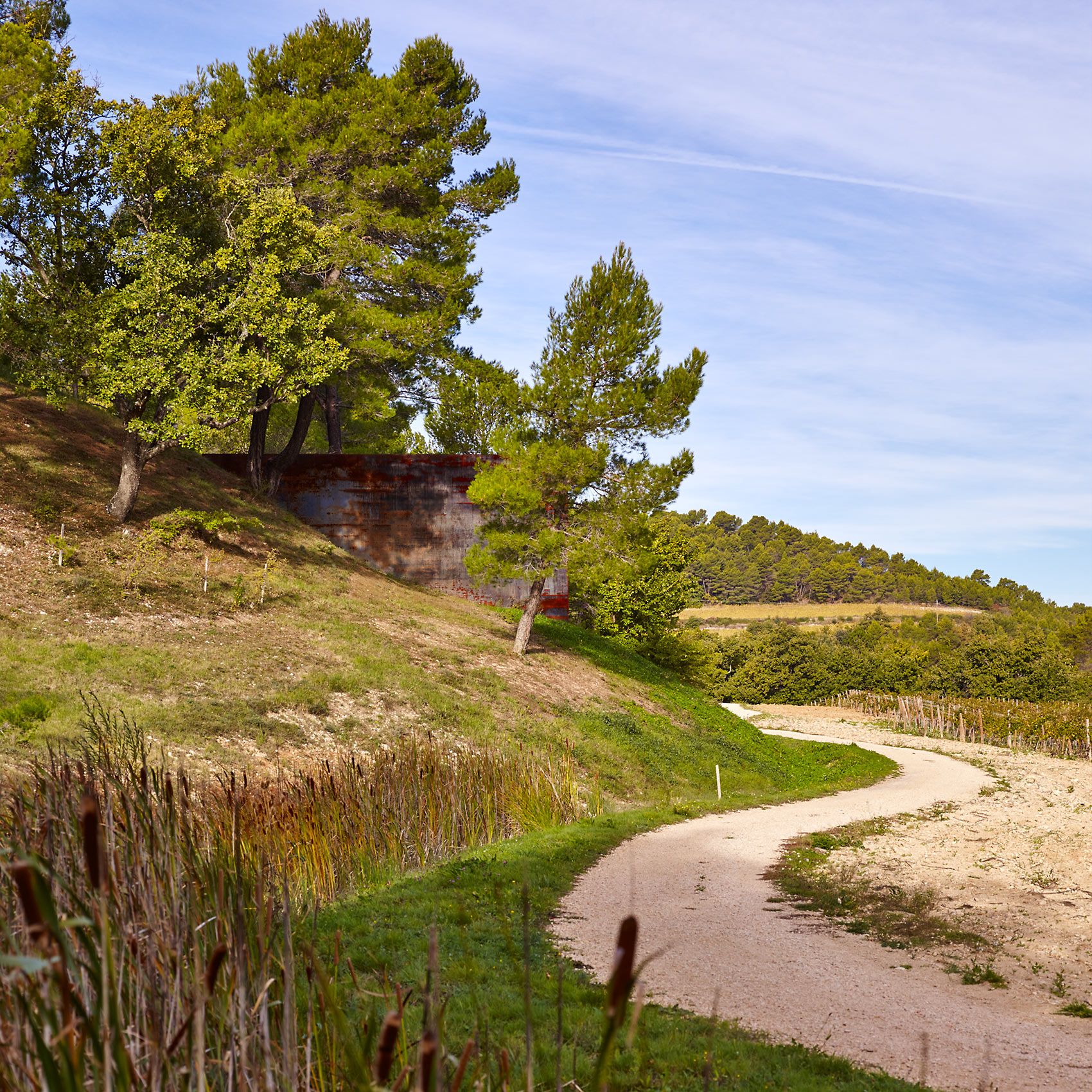 RICHARD SERA, SCULPTOR  .  CHÂTEAU LA COSTE  .  LE PUY STE. RÉPARADE FRANCE