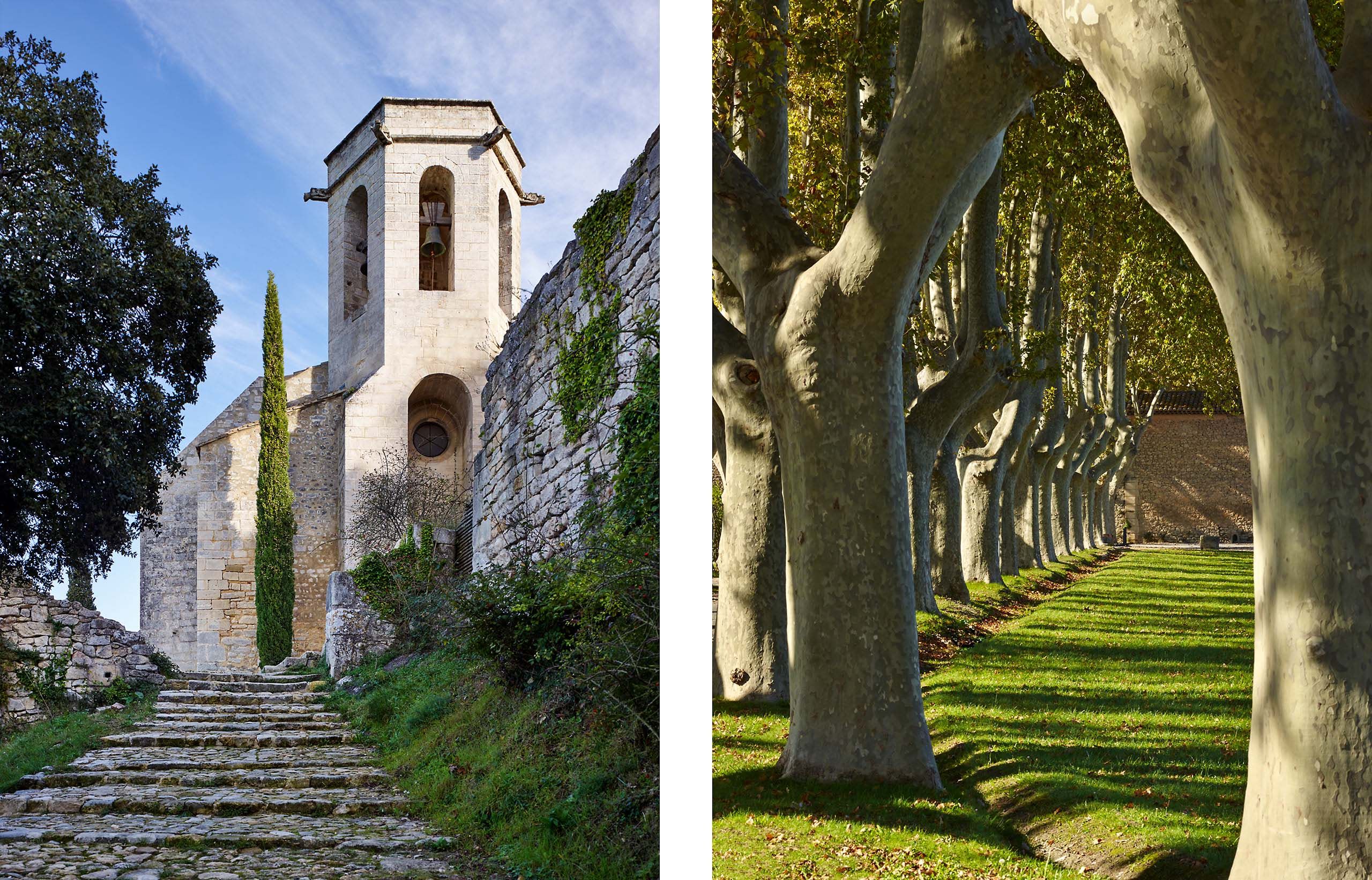 ROMANESQUE CHURCH / PLANETREE ALLÉE  .  OPPÈDE LE VIEUX  .  PROVENCE
