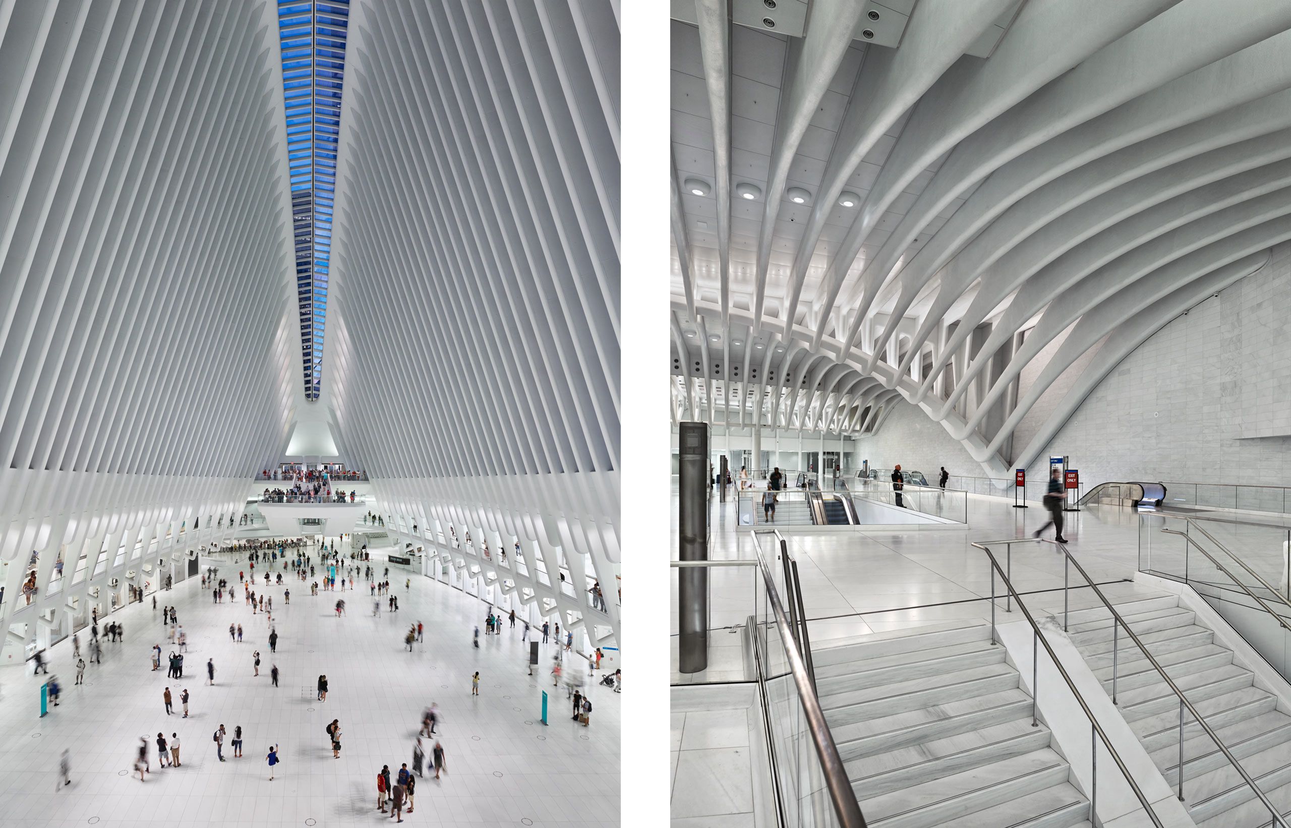 SANTIAGO CALATRAVA  .  WORLD TRADE CENTER TRANSPORTATION HUB  .  NEW YORK