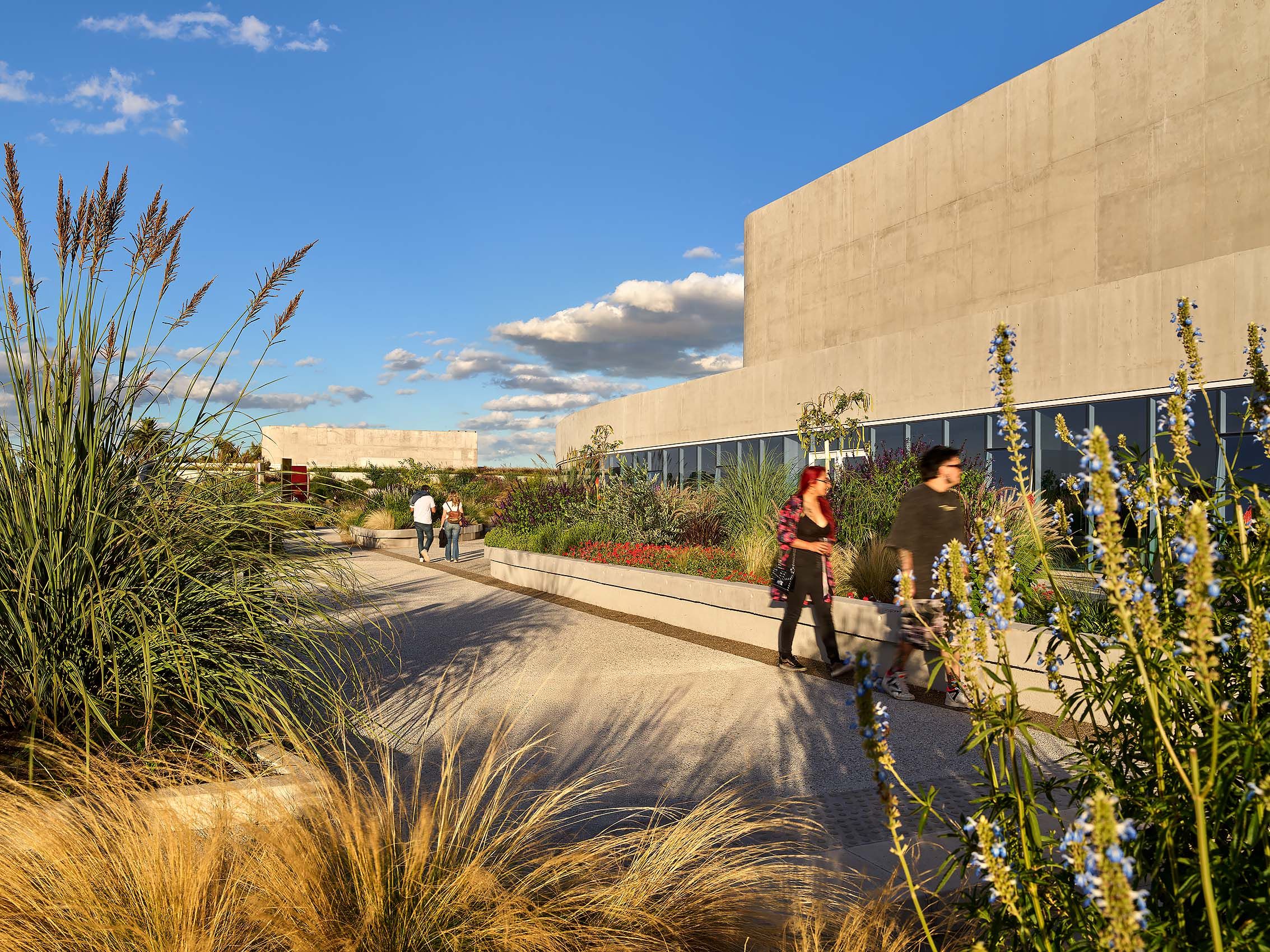 O D A   .   OLA PALERMO BUENOS AIRES