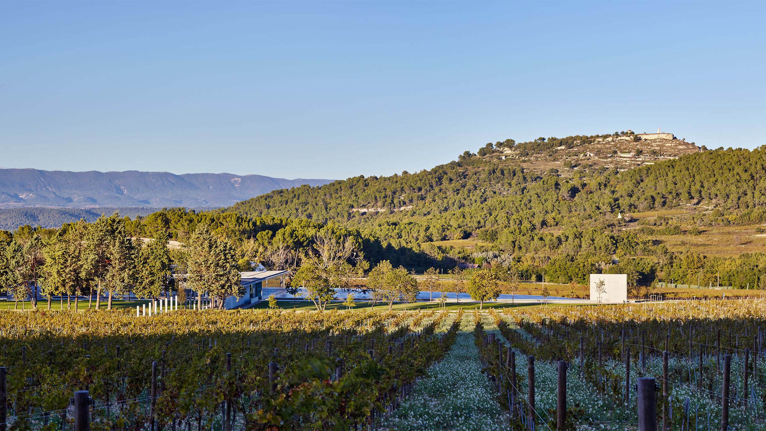 TADAO ANDO  .  CHÂTEAU LA COSTE  .  LE PUY STE. RÉPARADE FRANCE