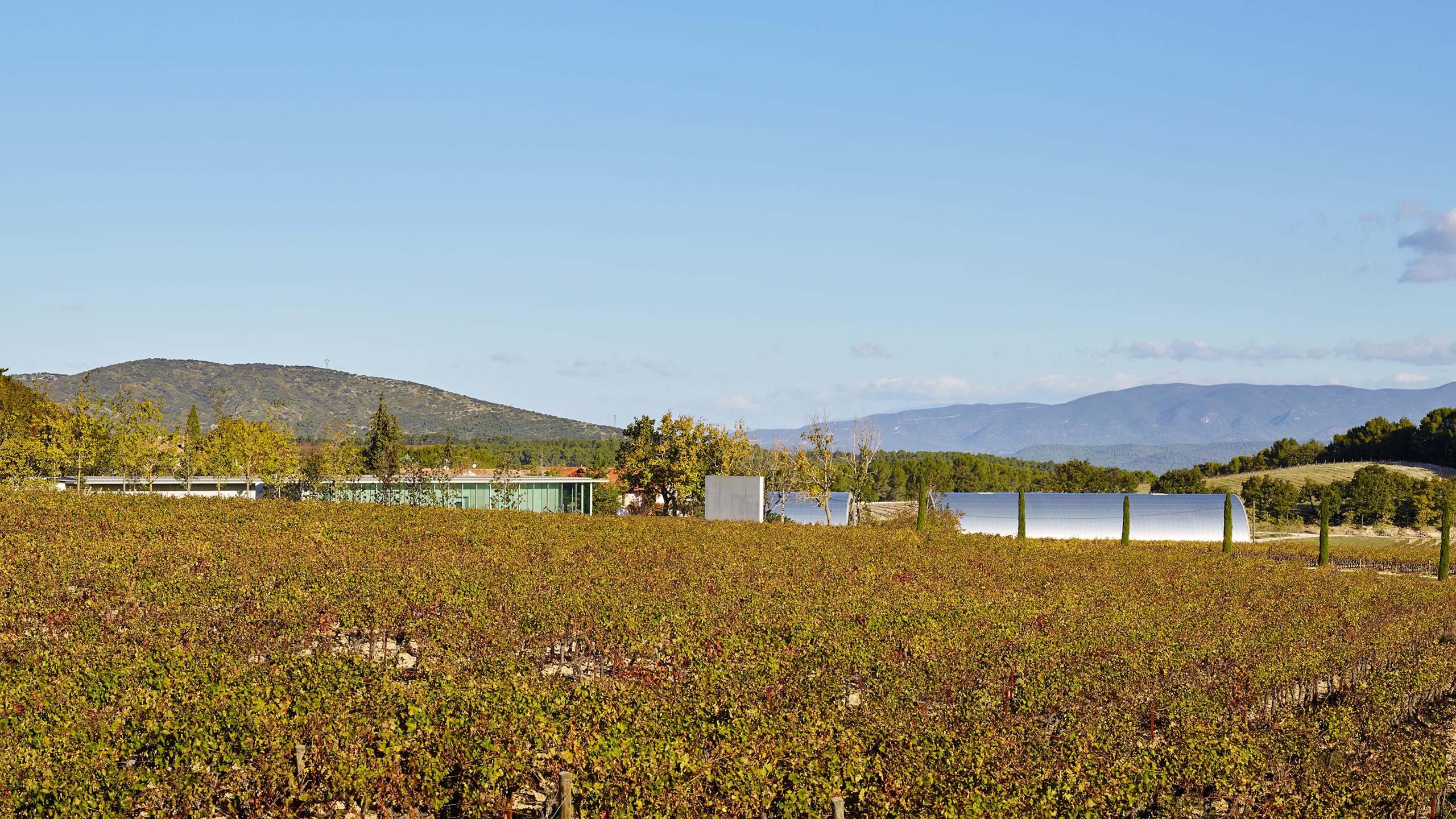 TADAO ANDO  .  CHÂTEAU LA COSTE  .  LE PUY STE. RÉPARADE FRANCE