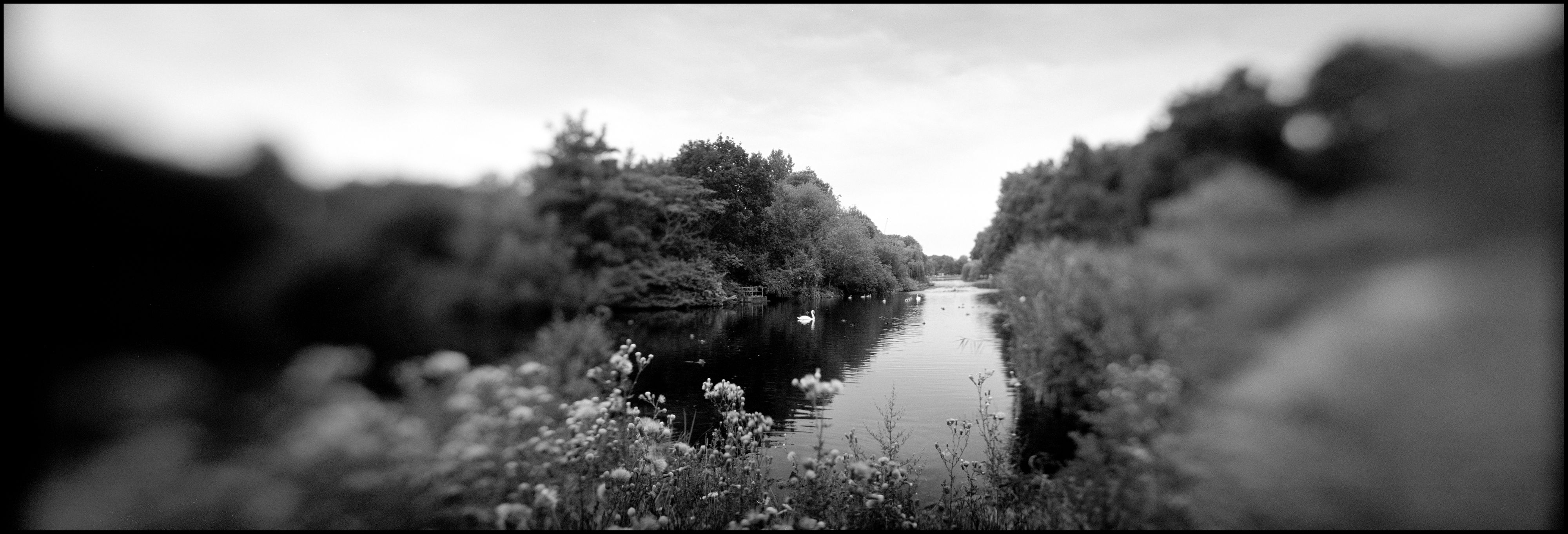 Duck Island, England.jpg