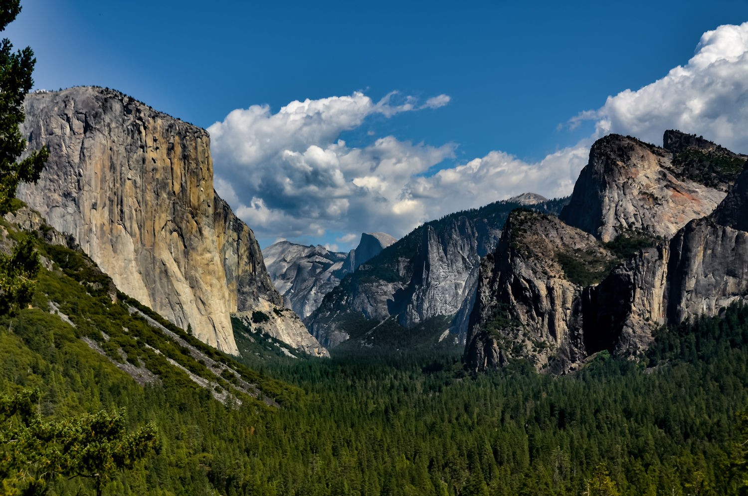1yosemite_2.jpg