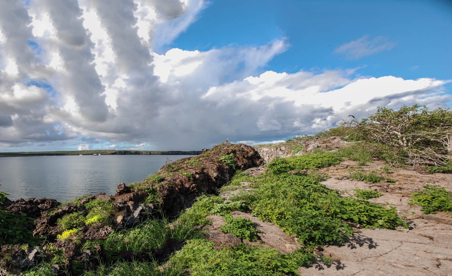 DSC_0587-6-Pano.jpg