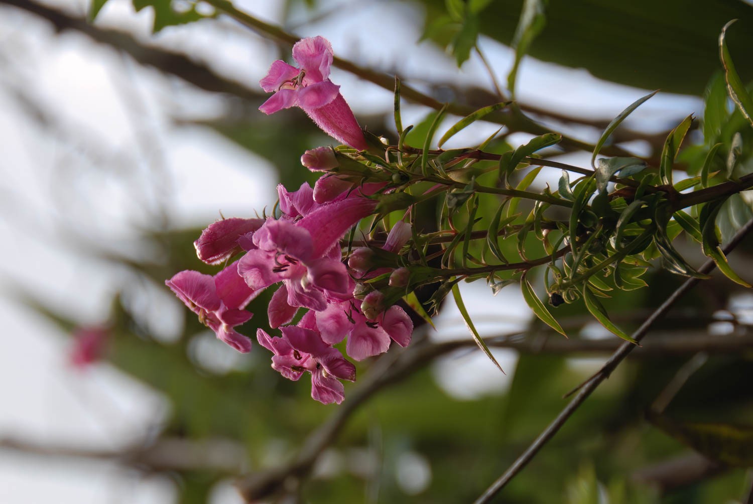 DSC_0802-4-Edit.jpg