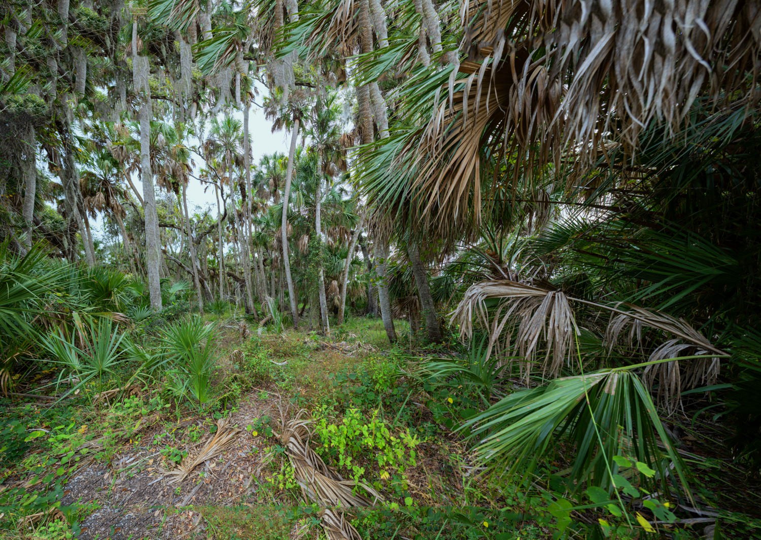 _DSC1061-Pano-Edit.jpg