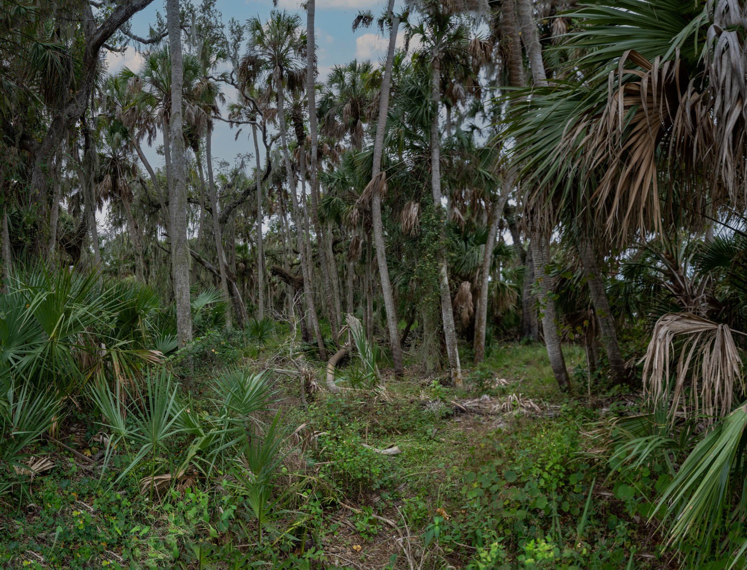 _DSC1215-Pano-Edit-Edit-Edit.jpg