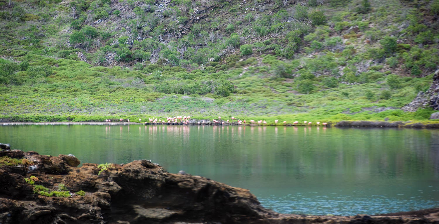 DSC_0219-9-Pano-Edit.jpg