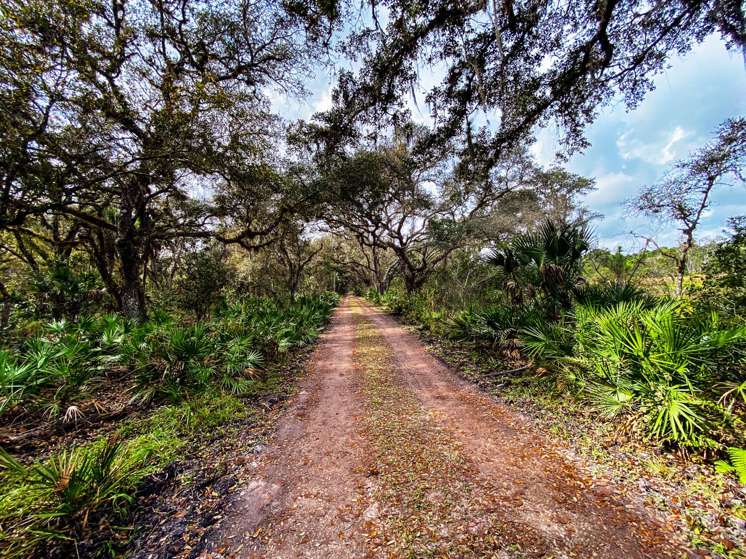 Myakka-first-20.jpg