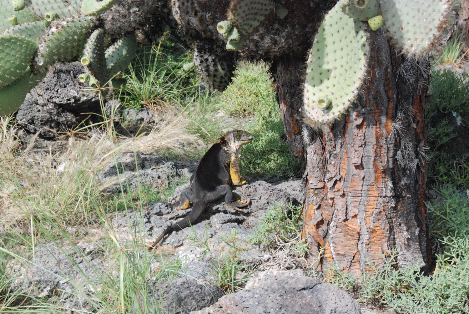 DSC_0034-1-Edit.jpg