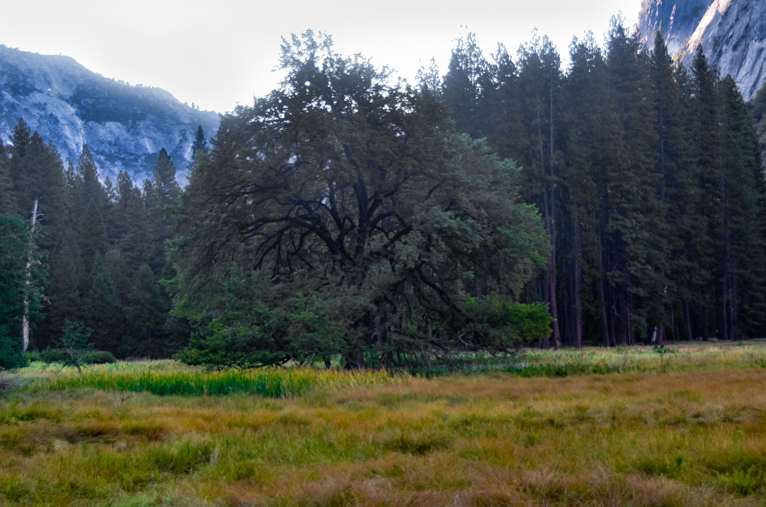 1yosemite_9.jpg