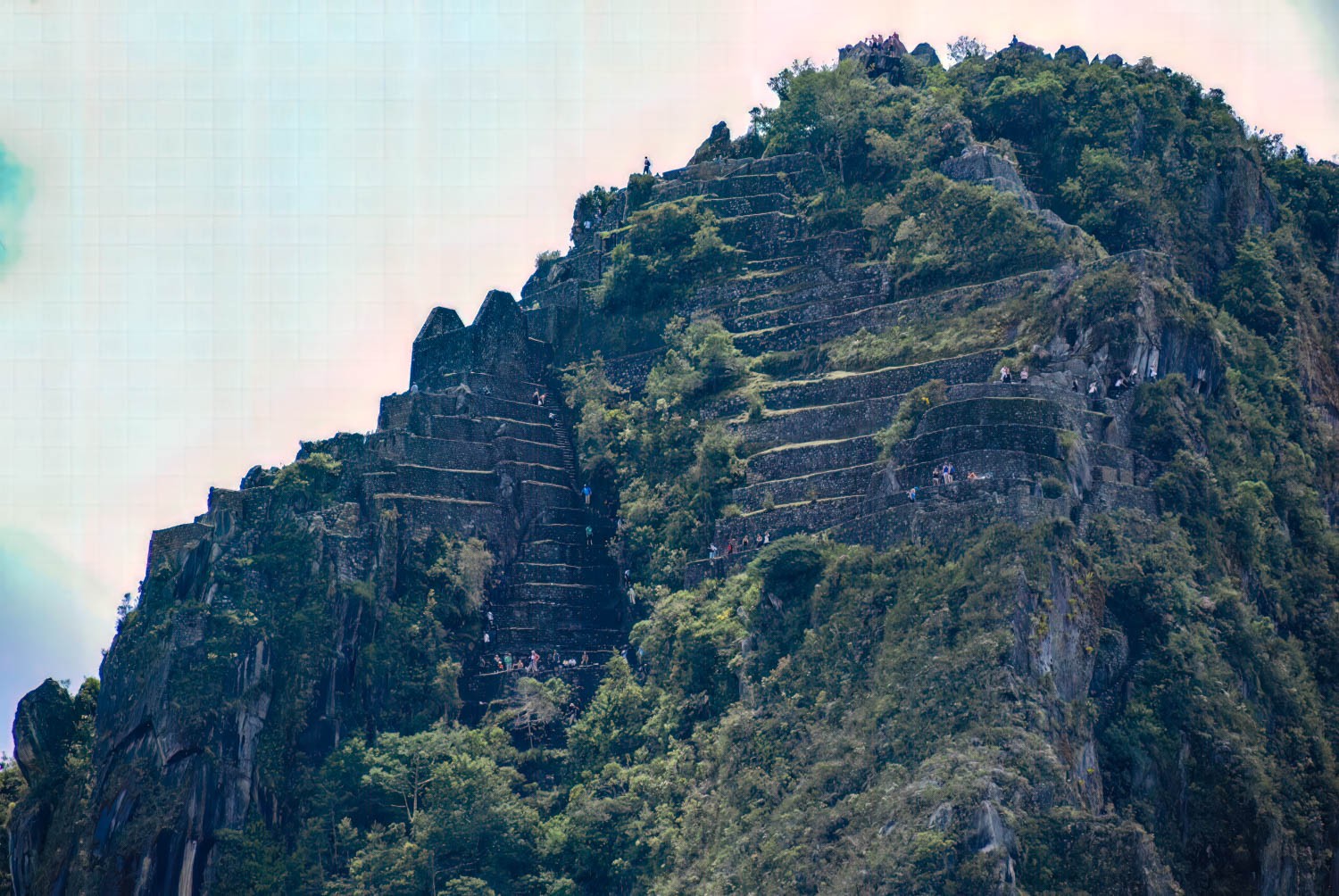DSC_0488-3-Edit-Edit.jpg