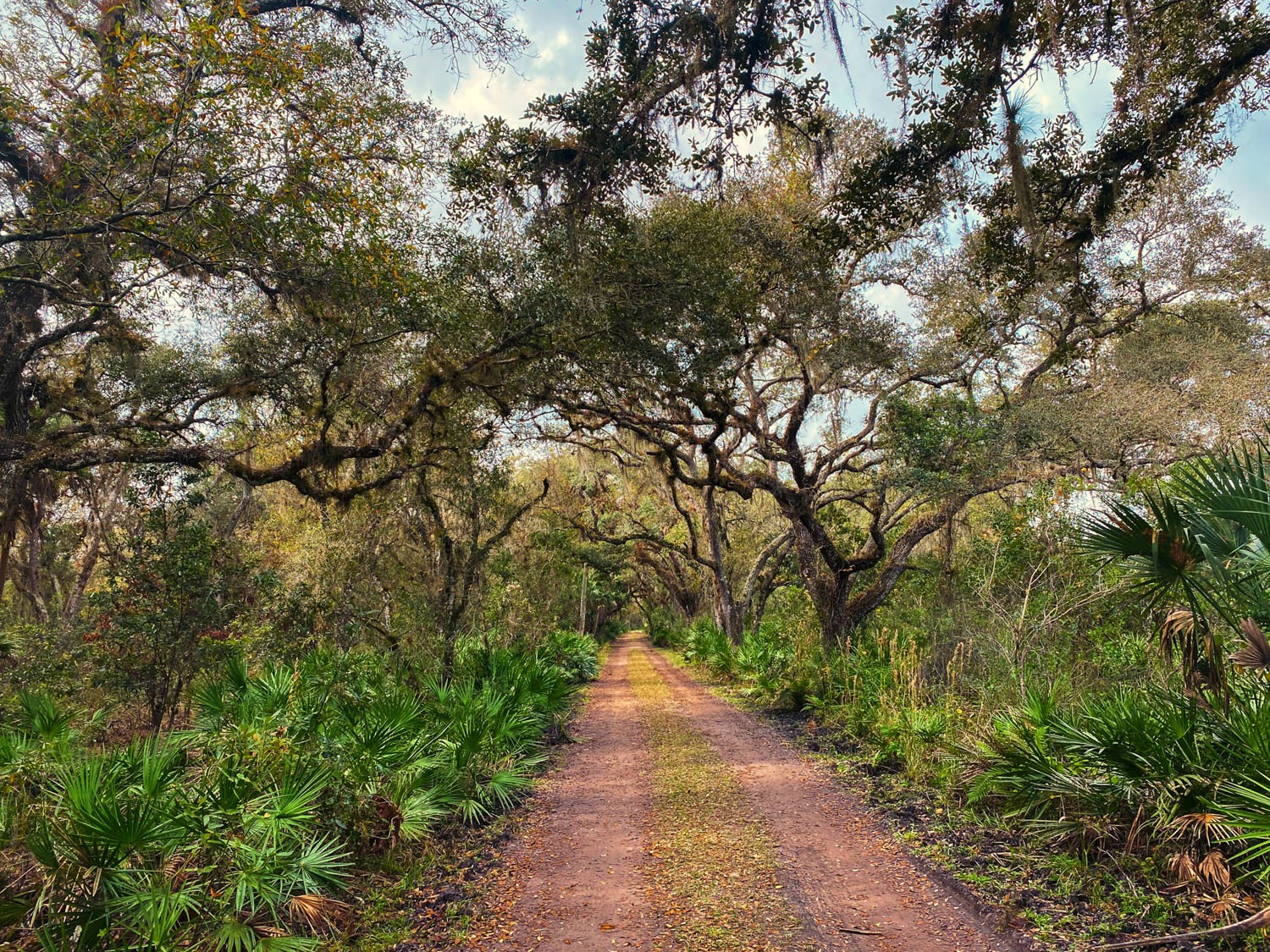 Myakka-first-2.jpg