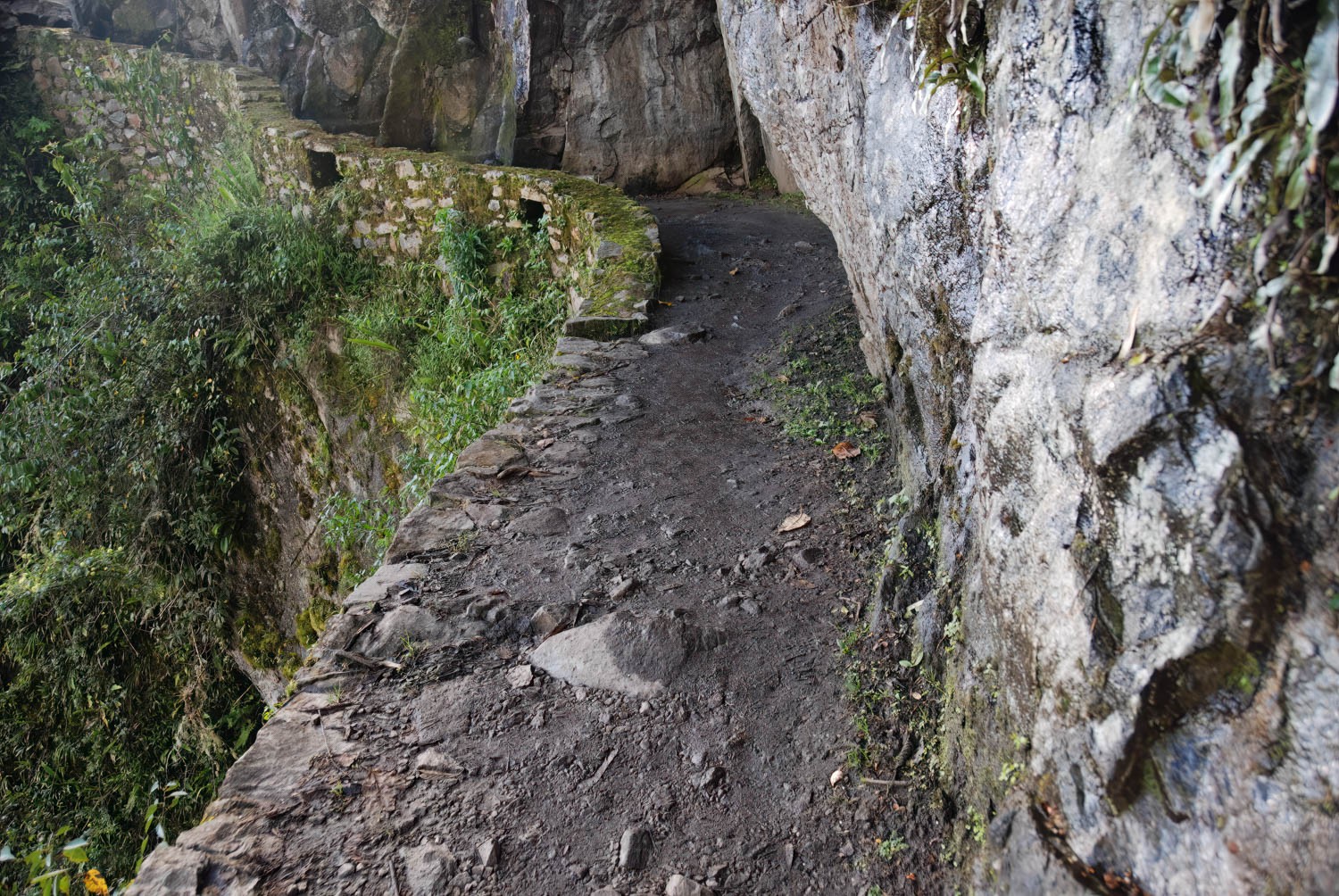 DSC_0764-3-Edit.jpg