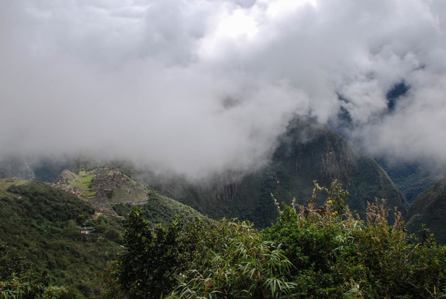 DSC_0001-2-2.jpg