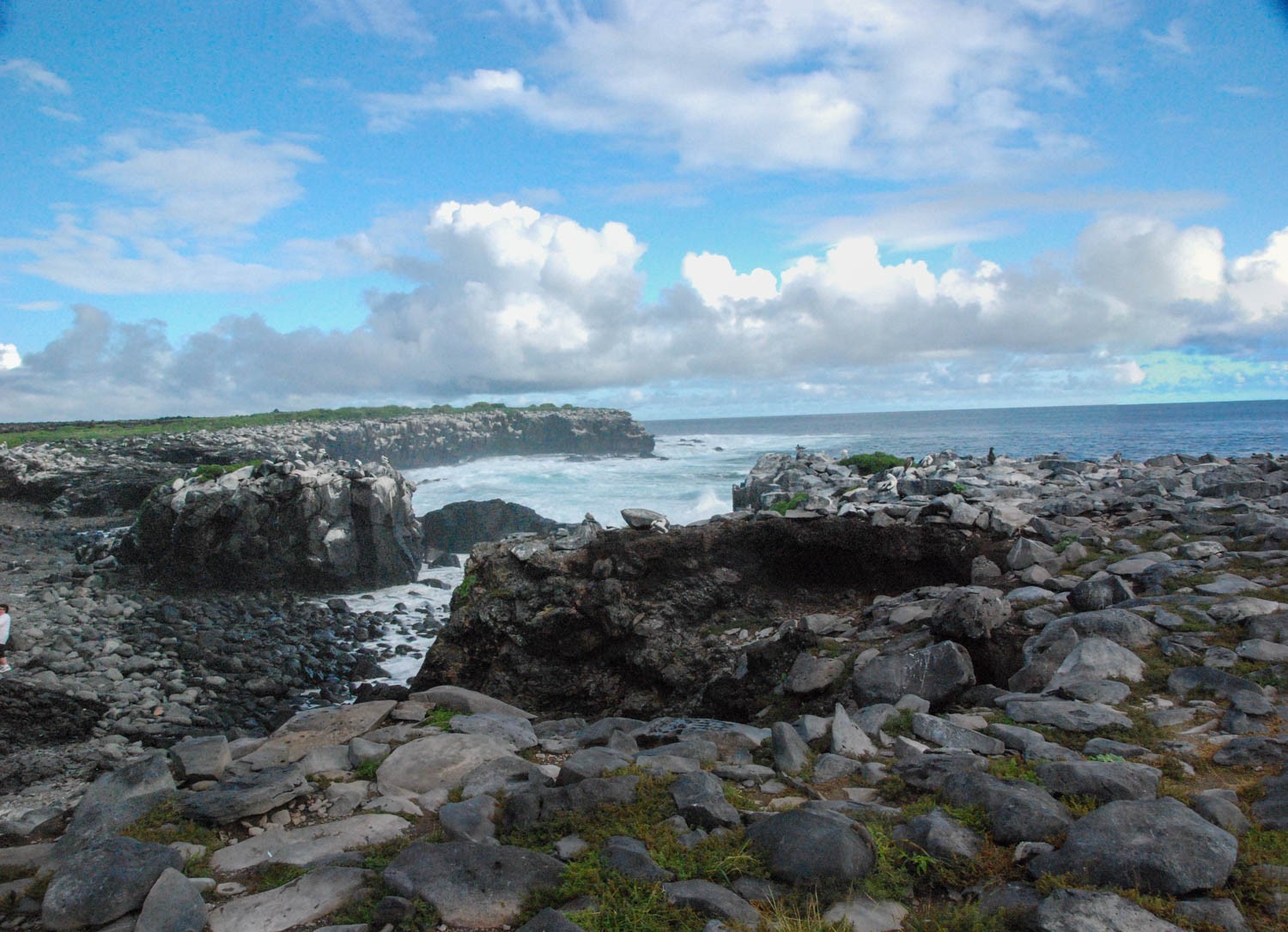 DSC_0121-11-Pano.jpg