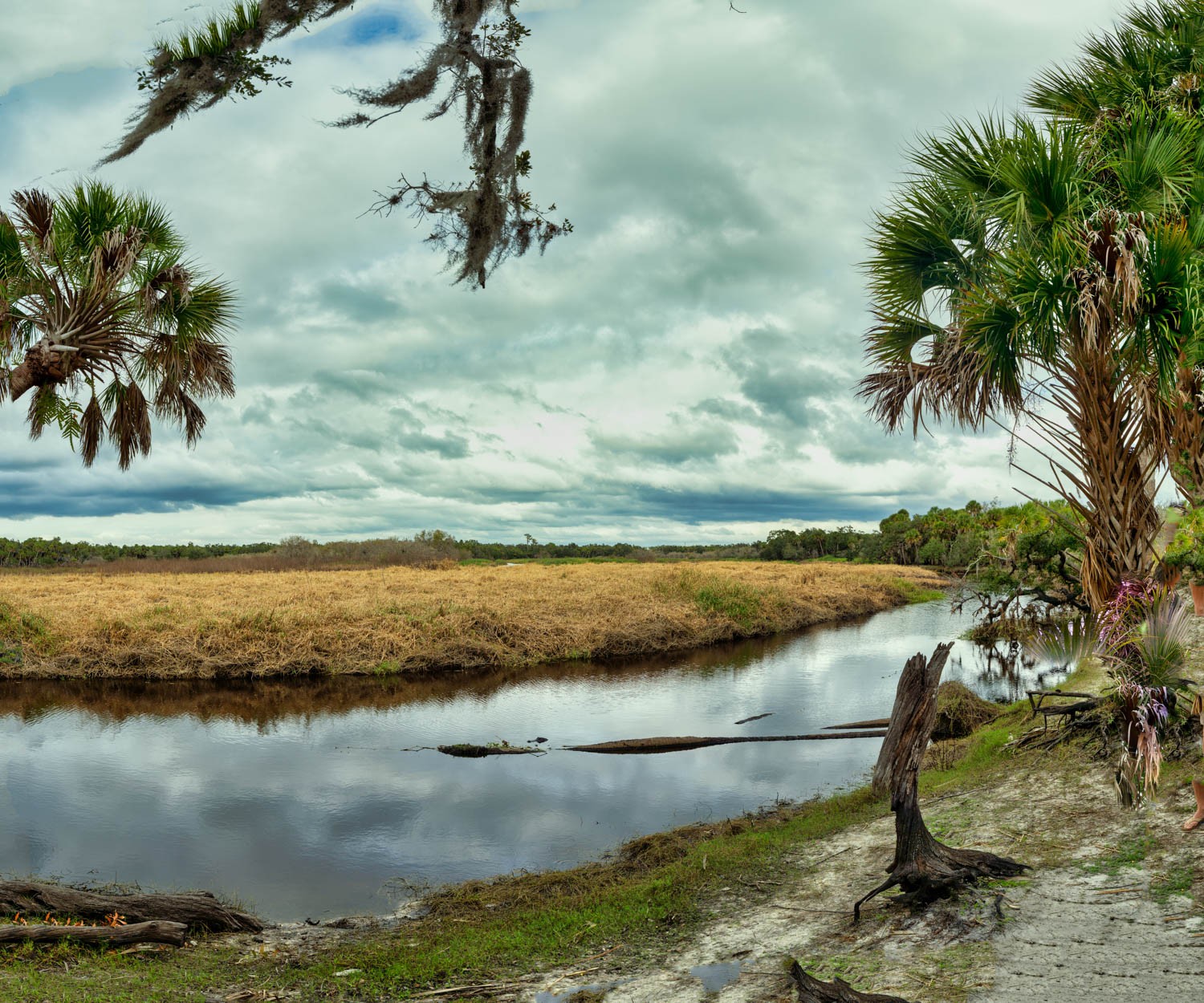 _DSC1067-Pano-Edit-Edit.jpg
