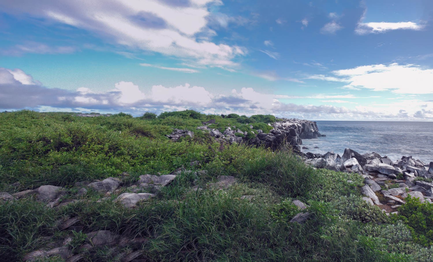 DSC_0116-4-Pano-Edit.jpg