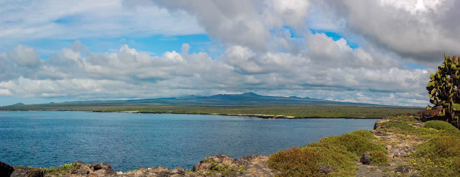 DSC_0099-9-Pano-Edit.jpg