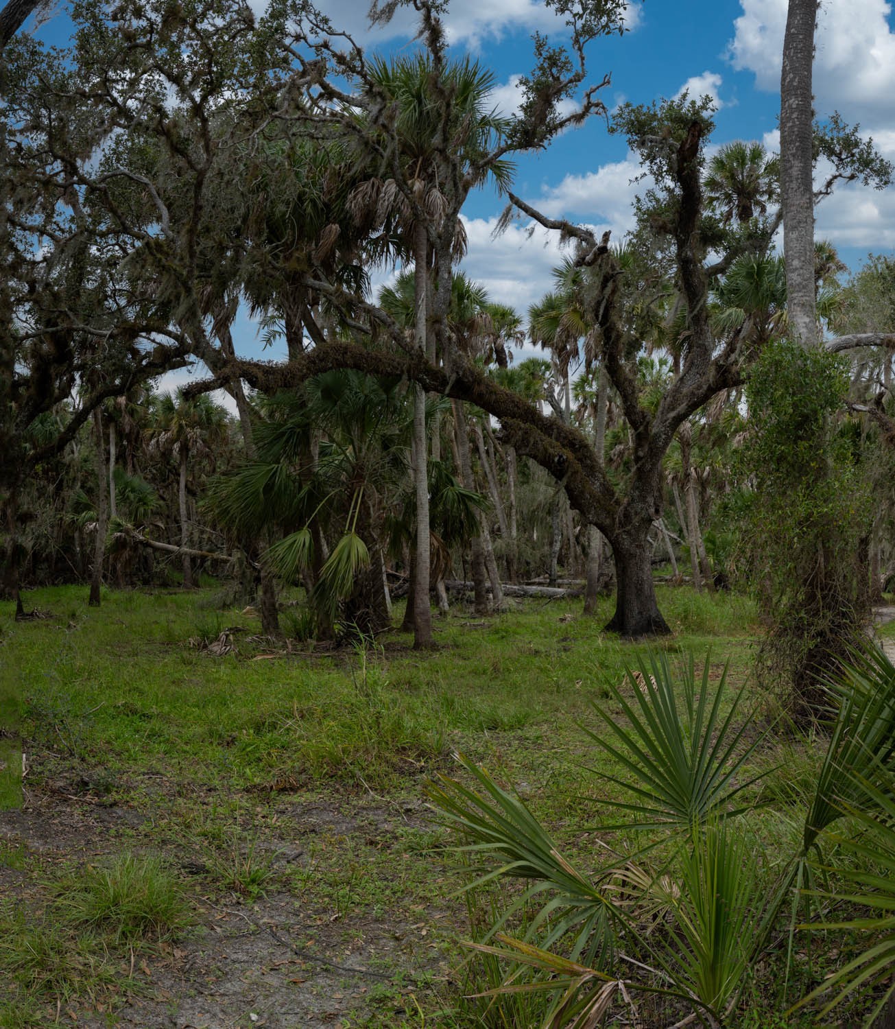 _DSC1221-Pano-Edit.jpg