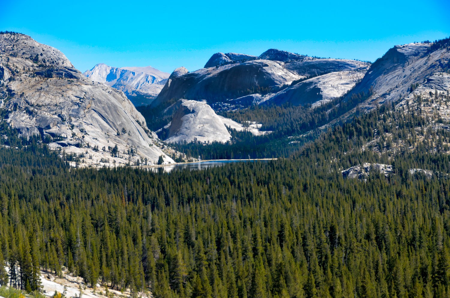 1yosemite_13.jpg