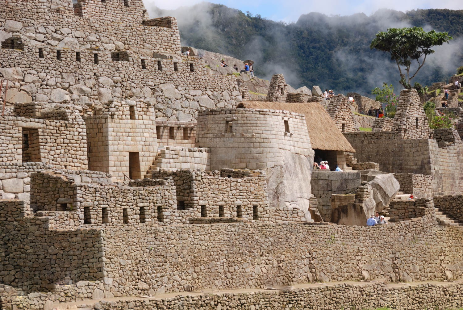 DSC_0340-7-Edit.jpg