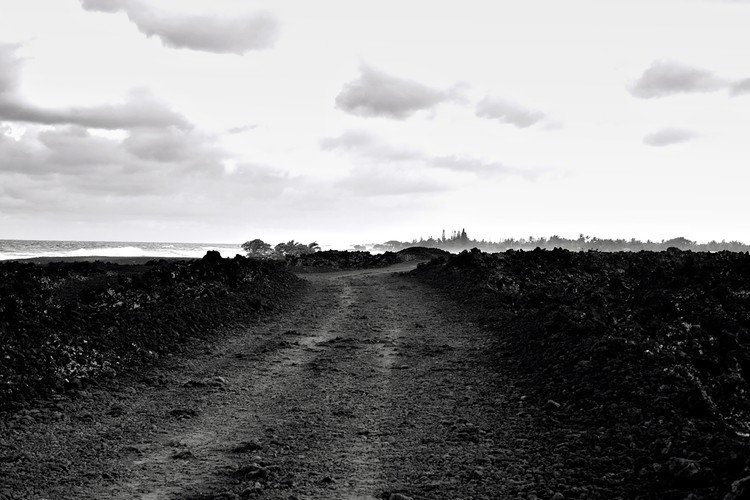 Lava Trail - Hilo, HI