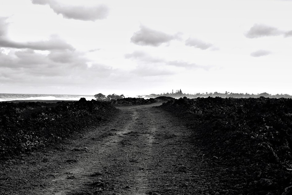 Lava Trail - Hilo, HI