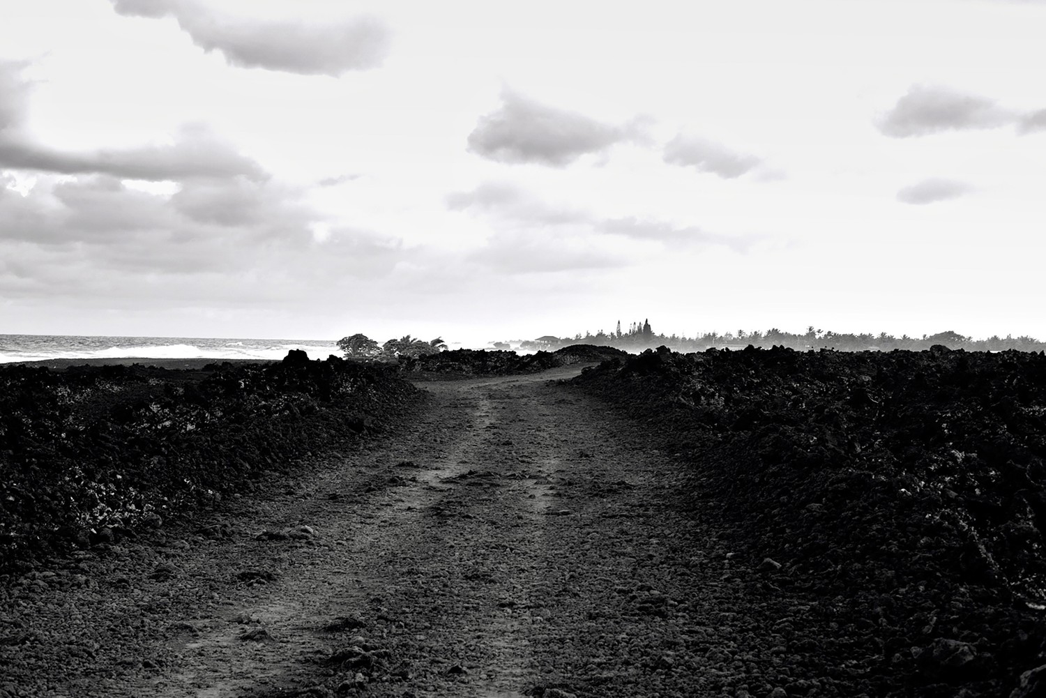 Lava Trail - Hilo, HI
