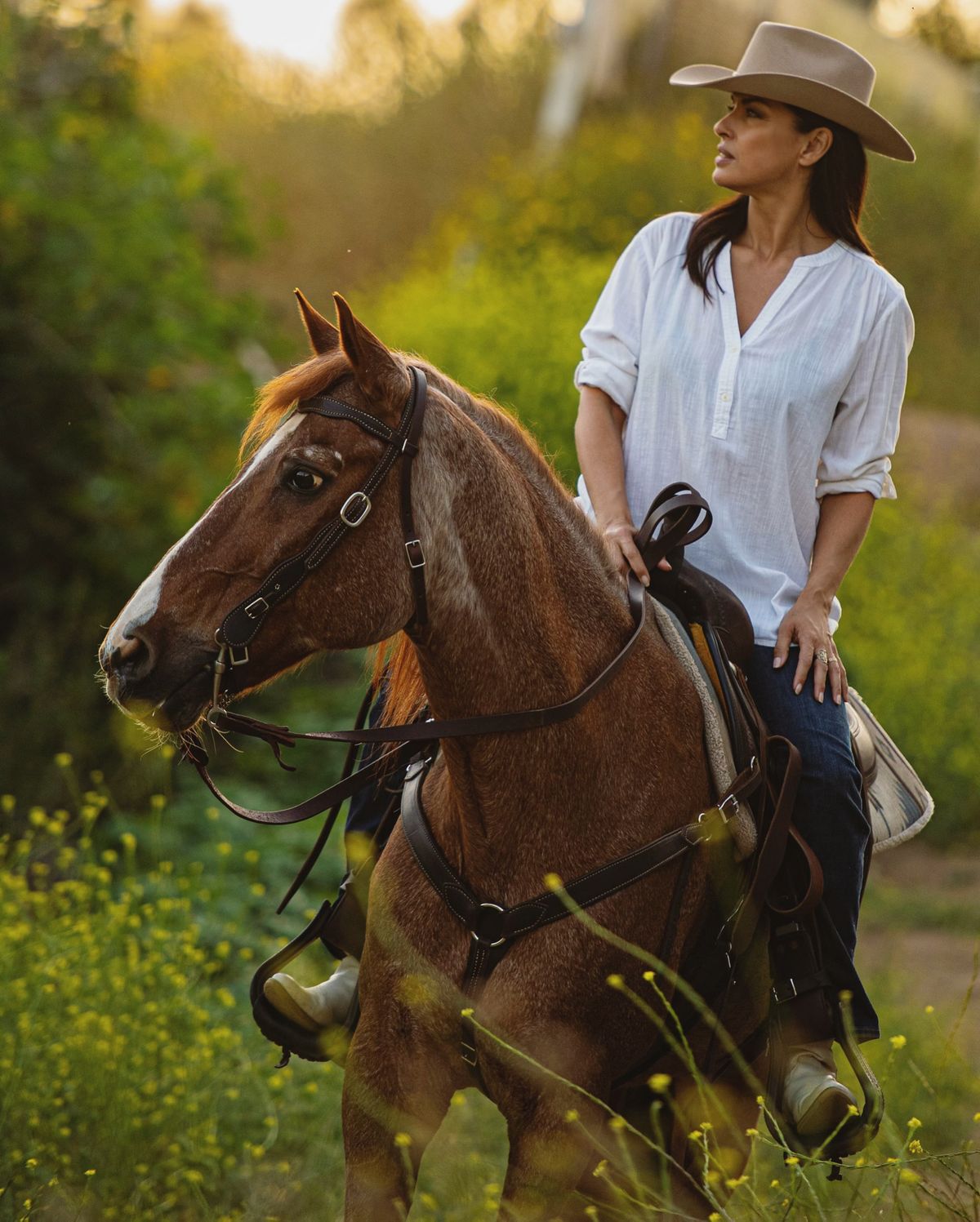 10Stetson2.jpg