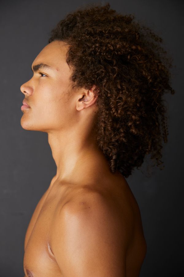 Model BROOKLYN SWINDLE