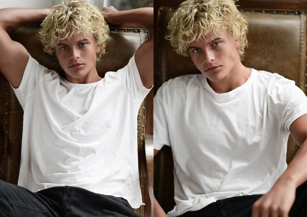 Model OLI STEINMETZ