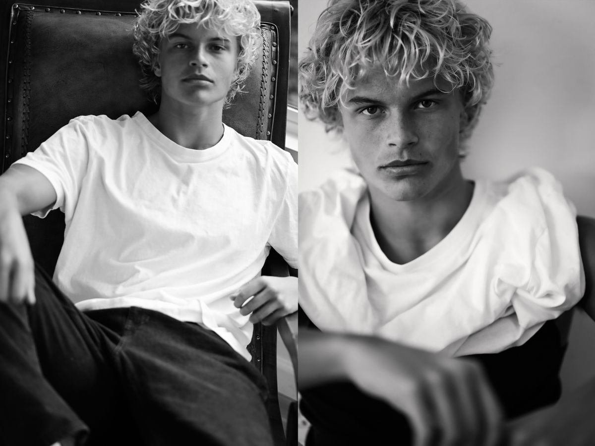 Model OLI STEINMETZ