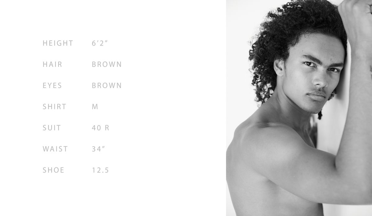 Model BROOKLYN SWINDLE
