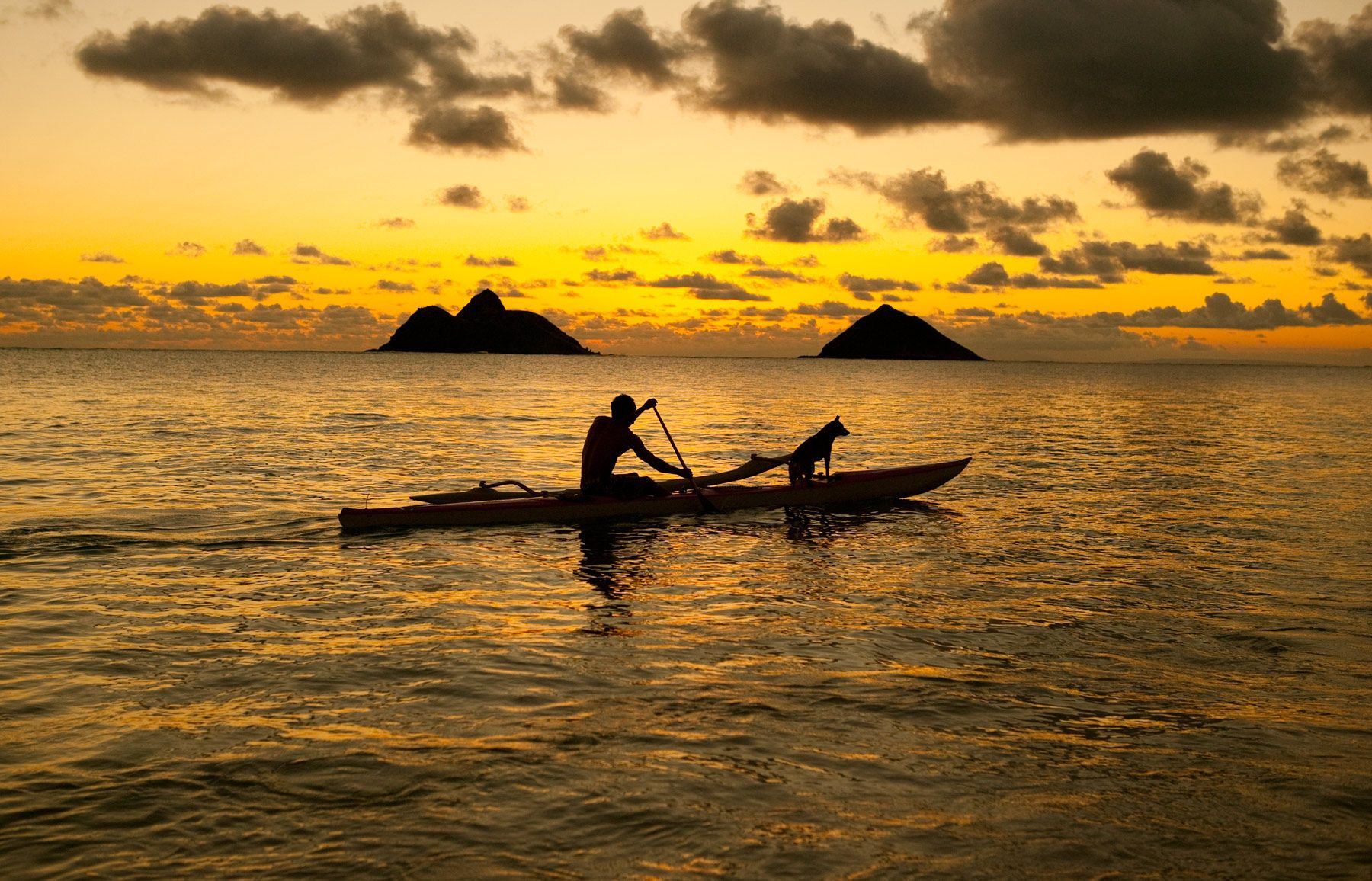 Bank of Hawaii