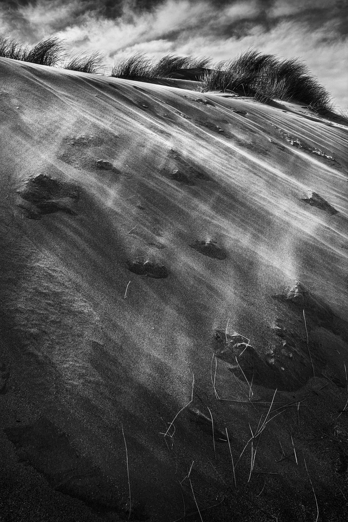 Blowing sand at Silver Strand