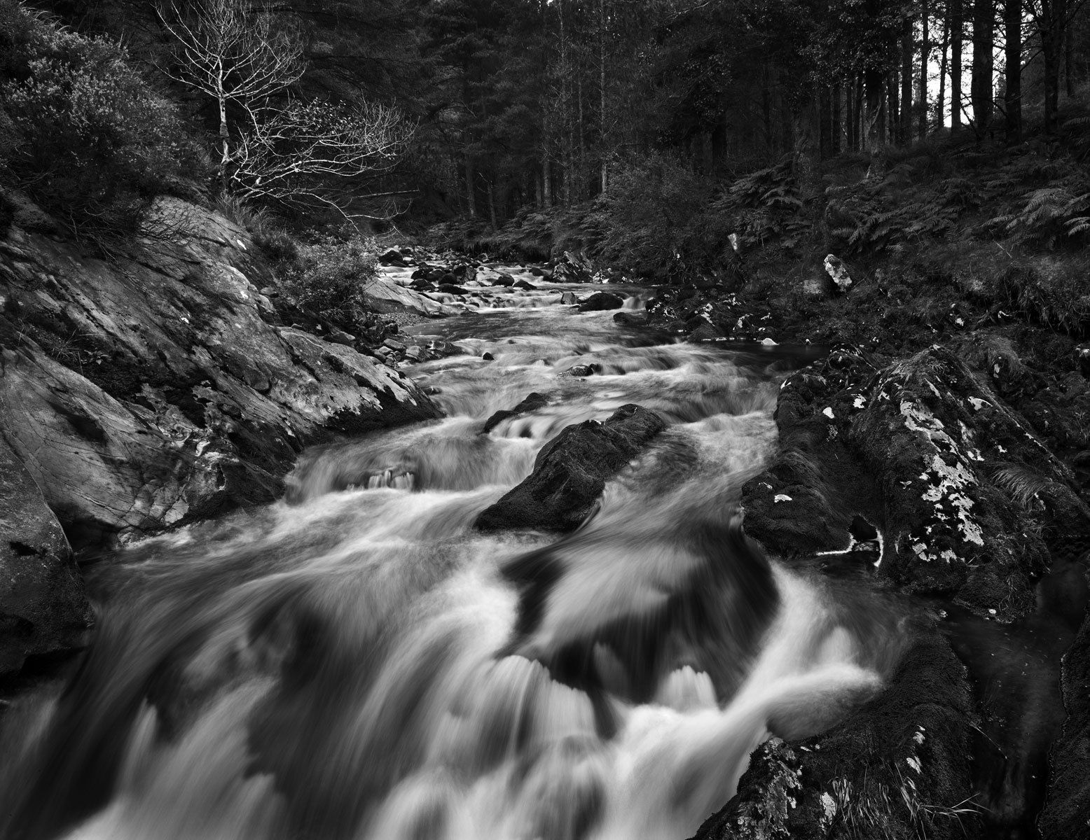 Flowing Stream, Letterkeen Wood, County Mayo Ireland