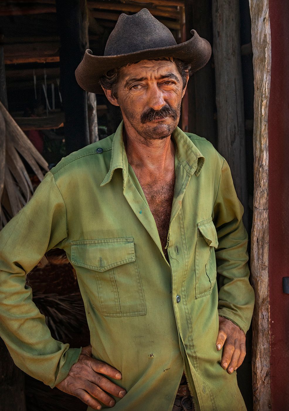 Tobacco Picker Cuba