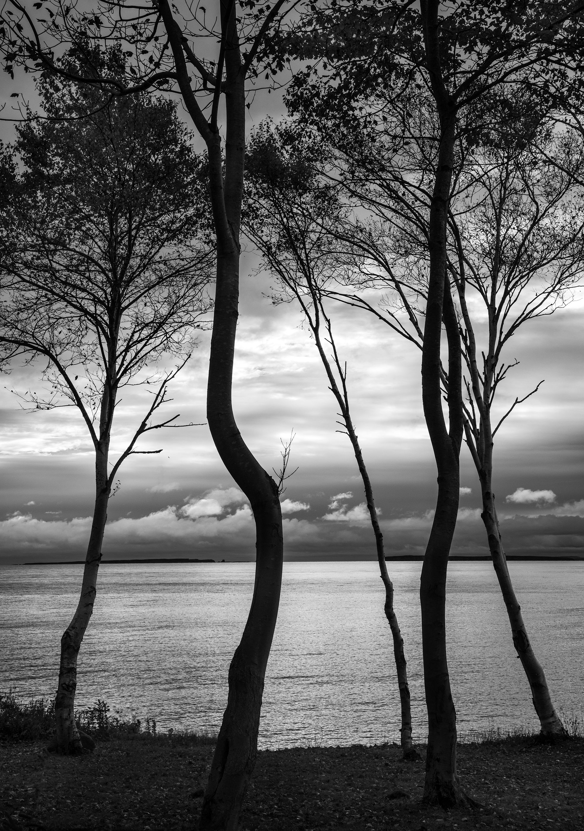 Morning Dance, Nova Scotia.jpg