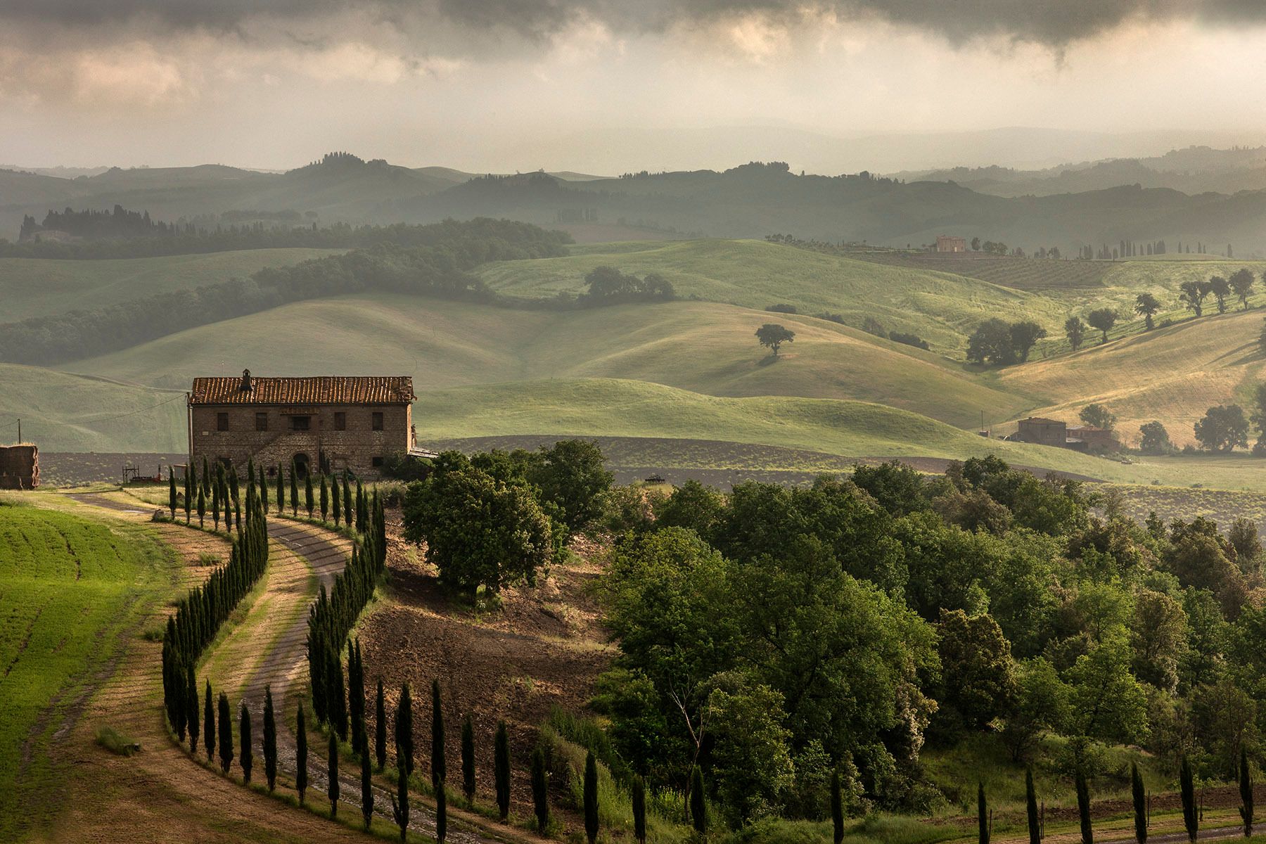 Tuscan Morning, near Murlo, Italy