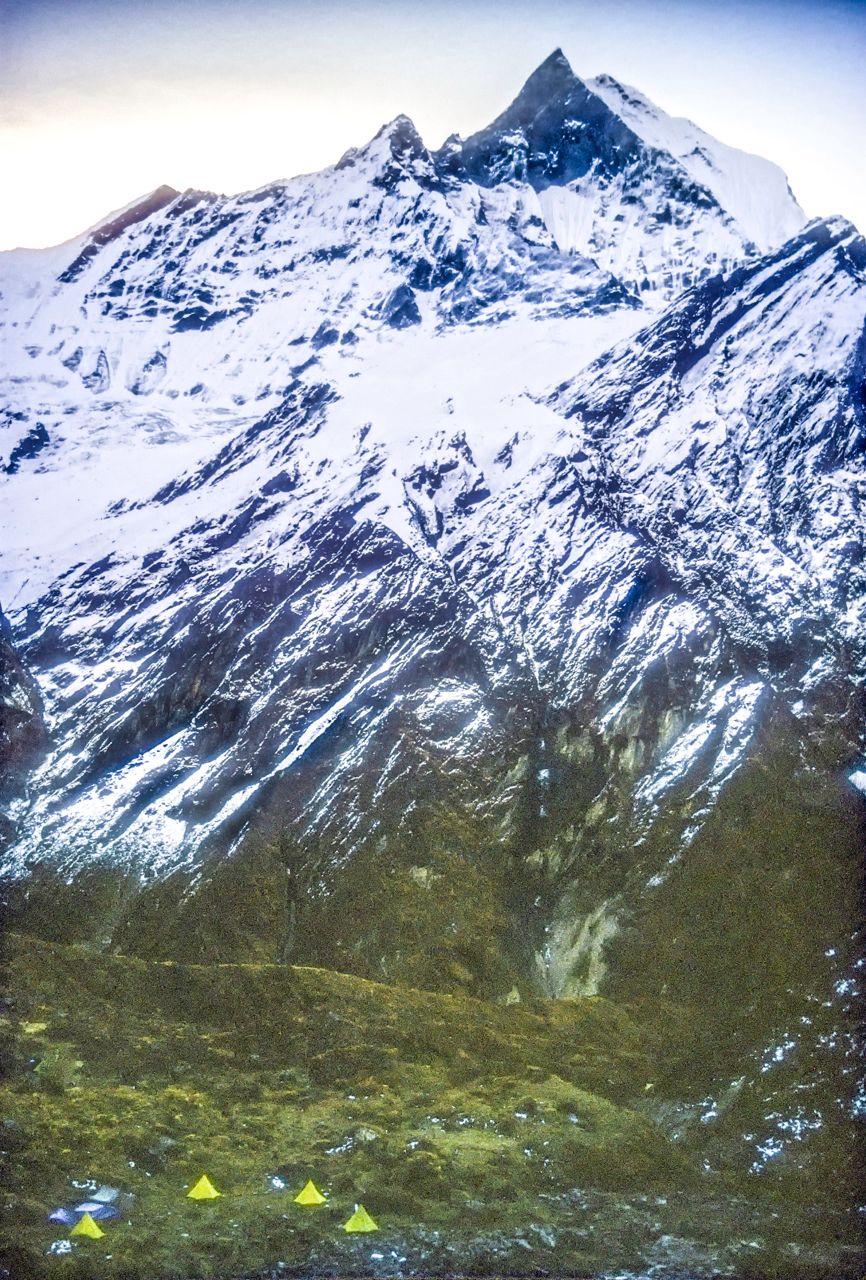 Considered a sacred peak it is forbidden to climb. The tent camp is for another nearby peak called Hinchuli. Mount Machapuchare, Nepal.