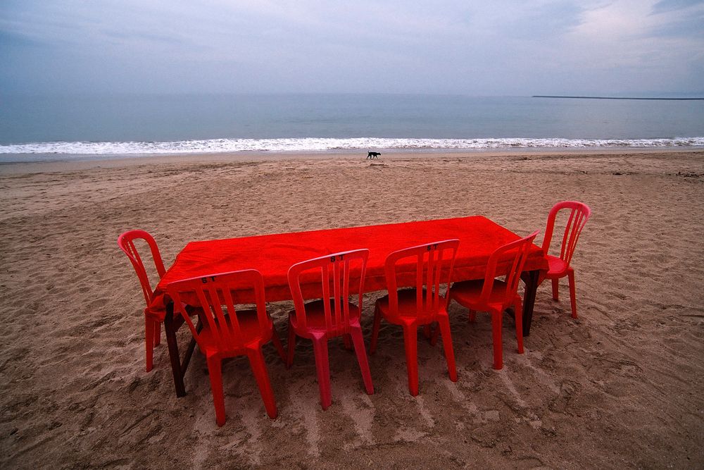 Red table, black dog.