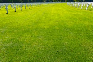 American Cemetery crosses.