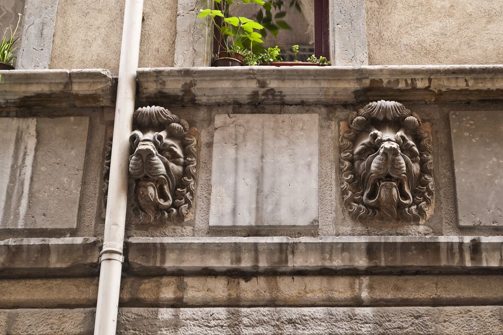 A twice squashed lion. Lyon, France. A wrong place, wrong time.