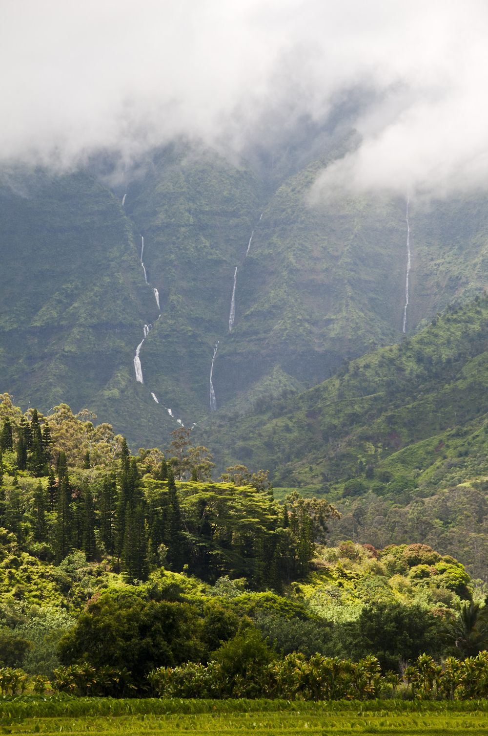 I could say that I waited all morning for the light to be right on the foreground, but in truth I was mailing a letter at the post office and standing in the parking lot and just pushed the shutter button. Hanalei, Hawaii. Garlands of waterfalls.