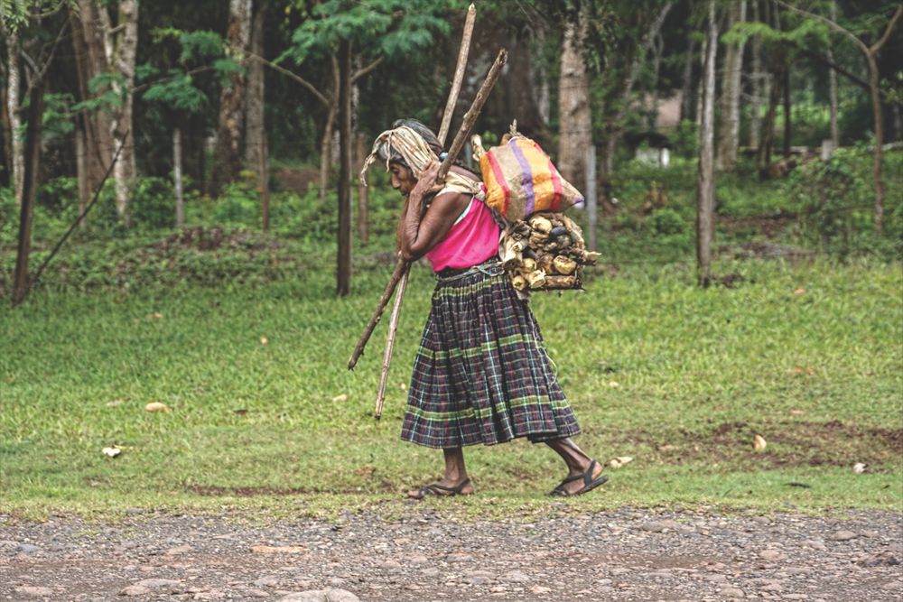 If you are going to eat, a fire is necessary to do the cooking. The wood for the fire comes on her back. Guatemala. Bringing home the Firewood.