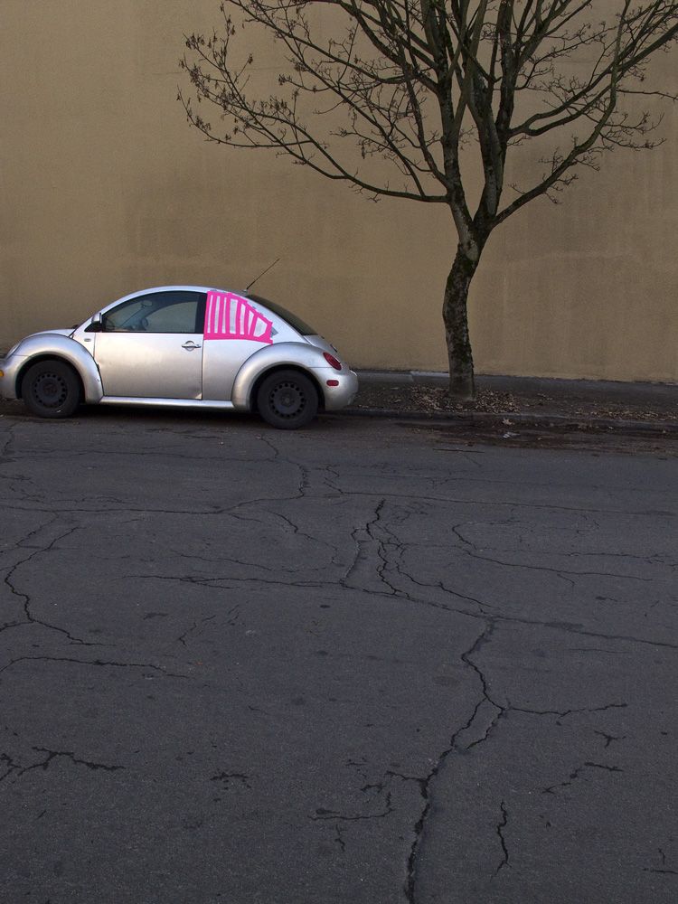 VW-window-tree. Portland, Oregon.